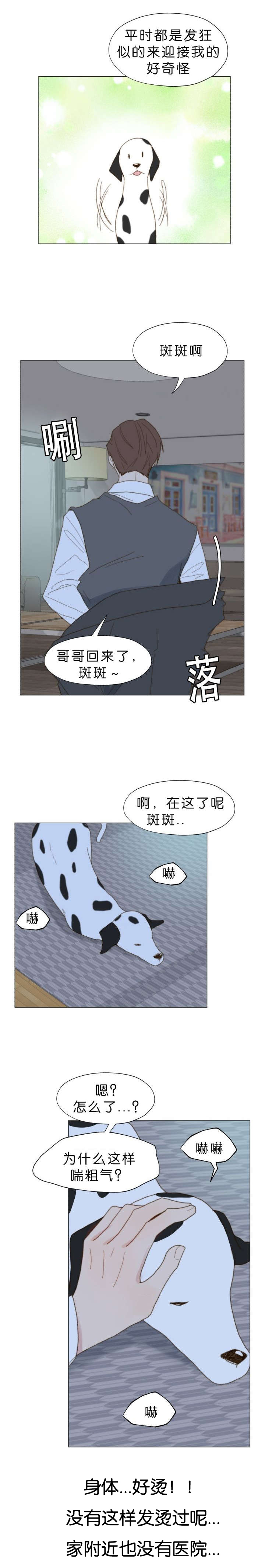 第44话 斑斑病了0