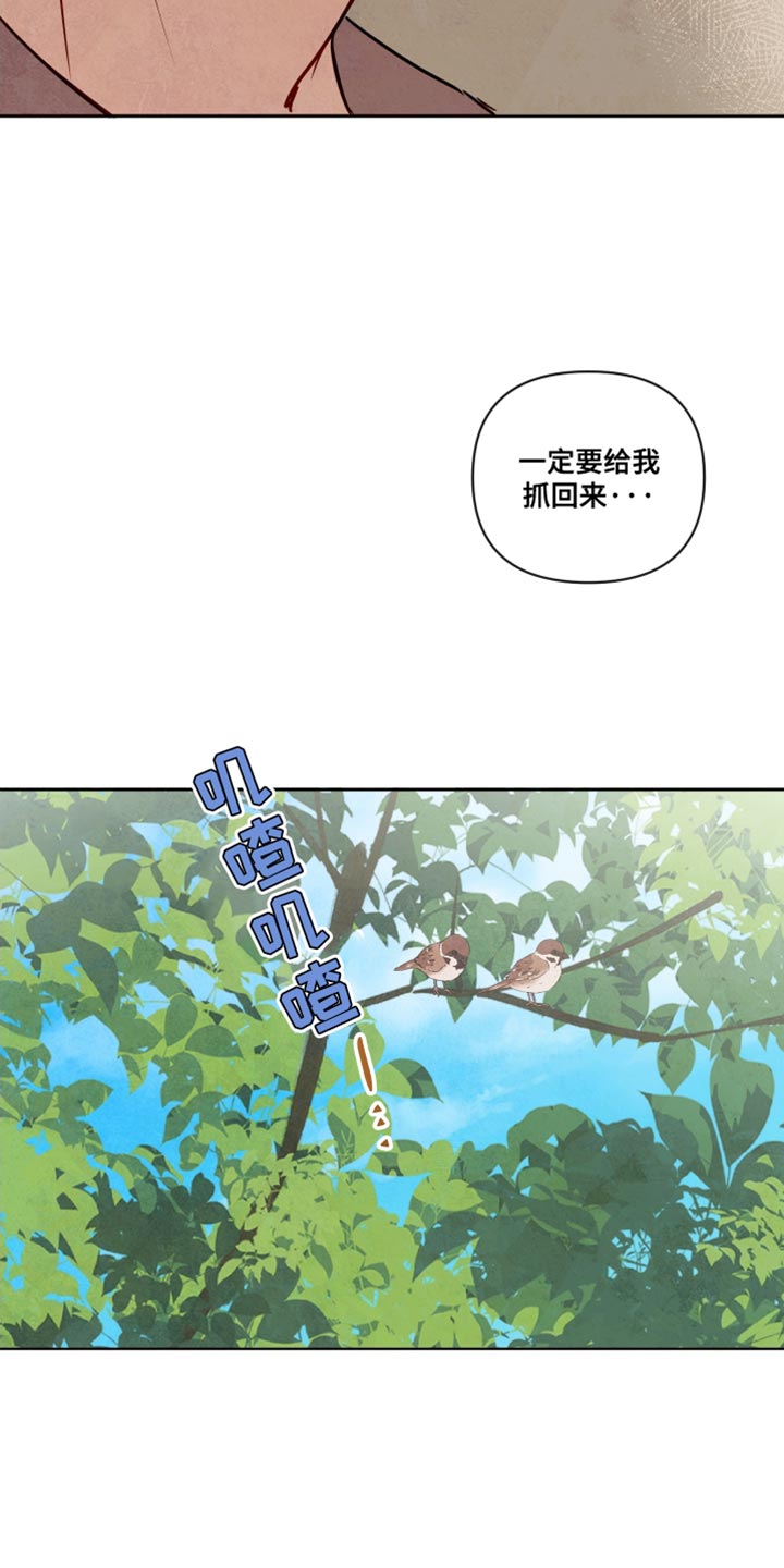 第15话9