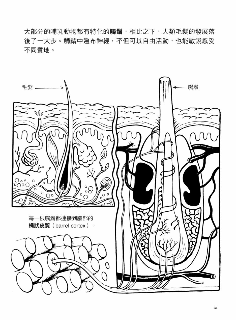 第1卷22