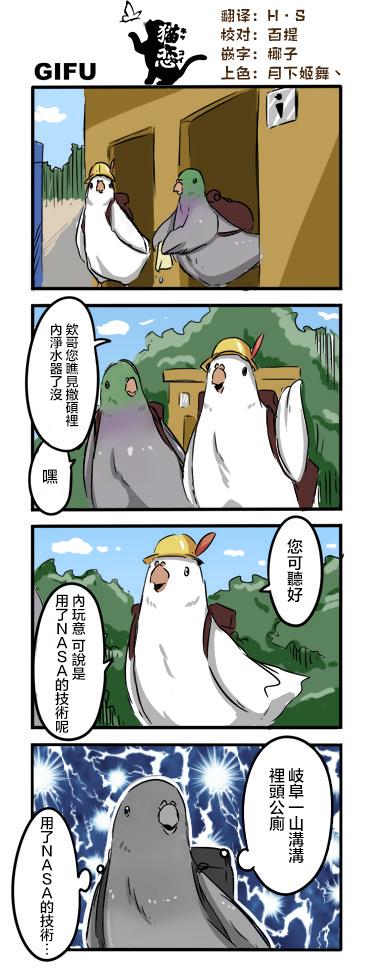 鸽子8