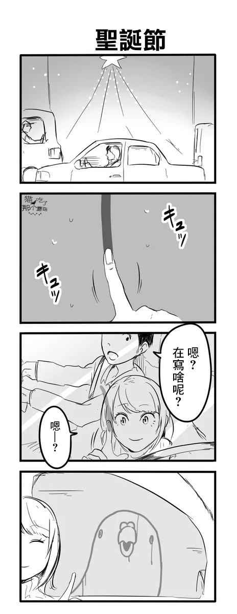 鸽子17