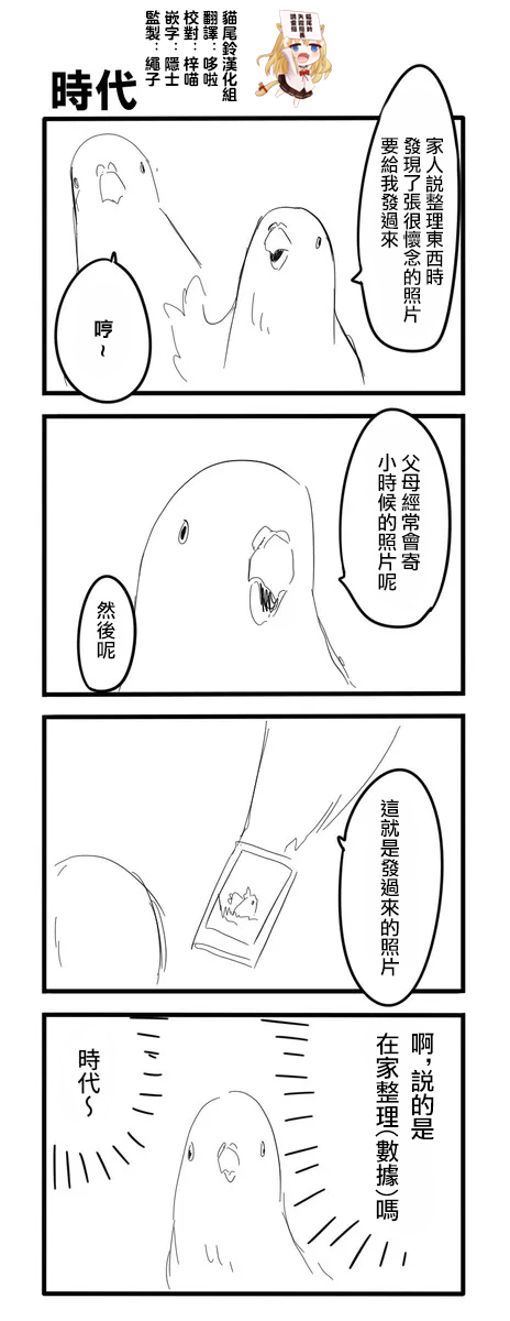 鸽子18