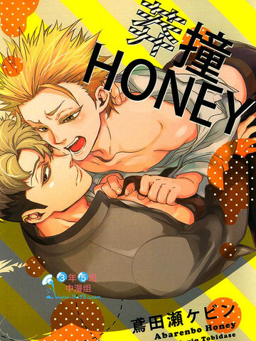 莽撞HONEY