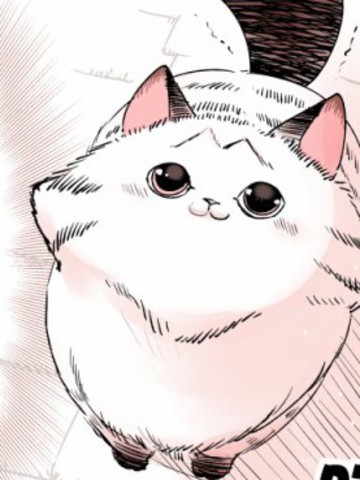 转生猫猫_banner