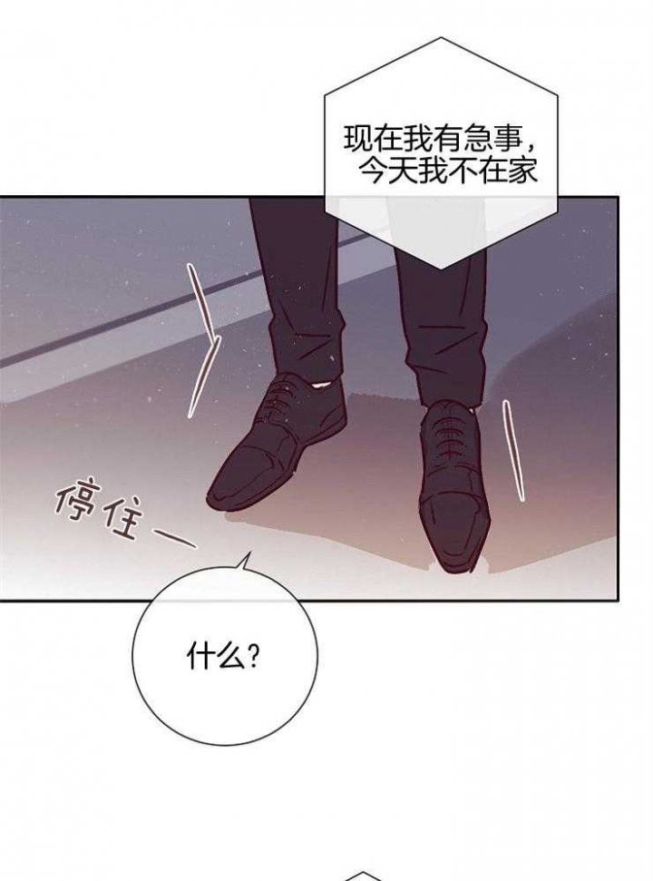 第52话3