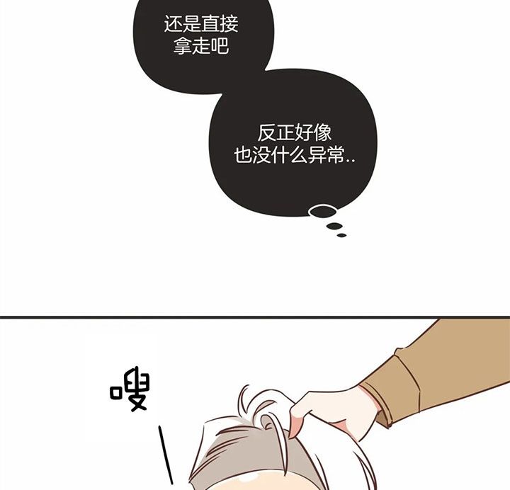 第170话5