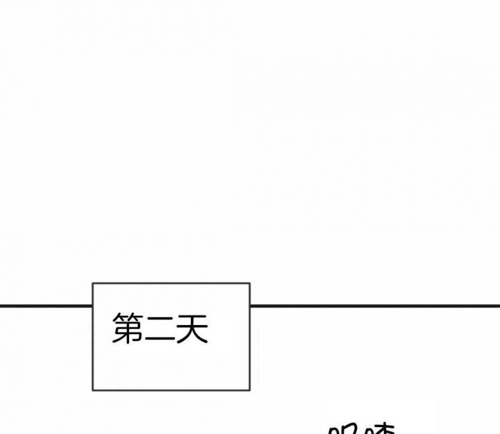 第204话0