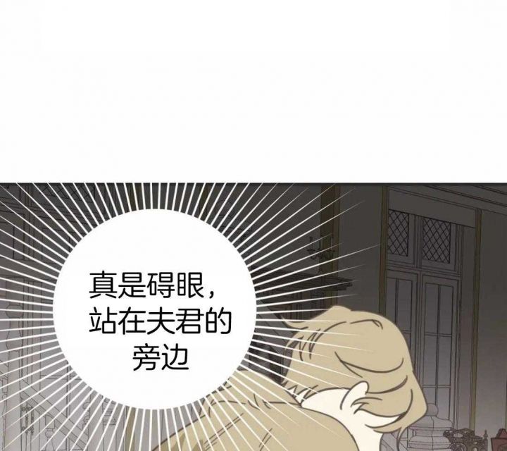 第204话40