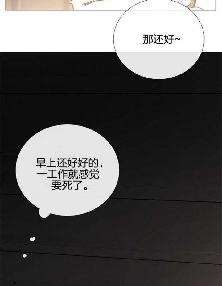 第116话28