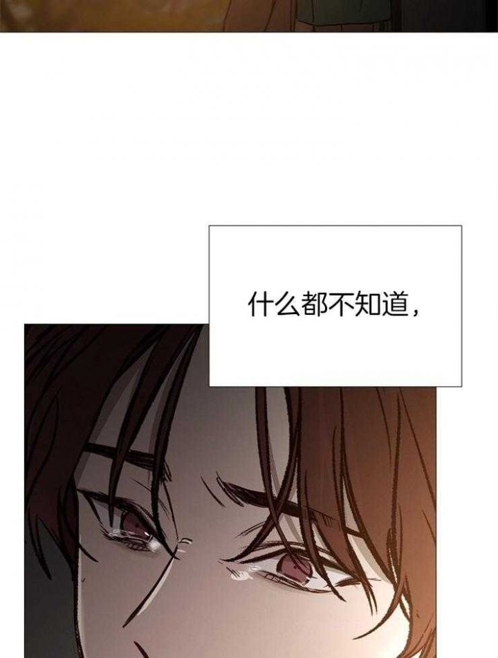 第145话1