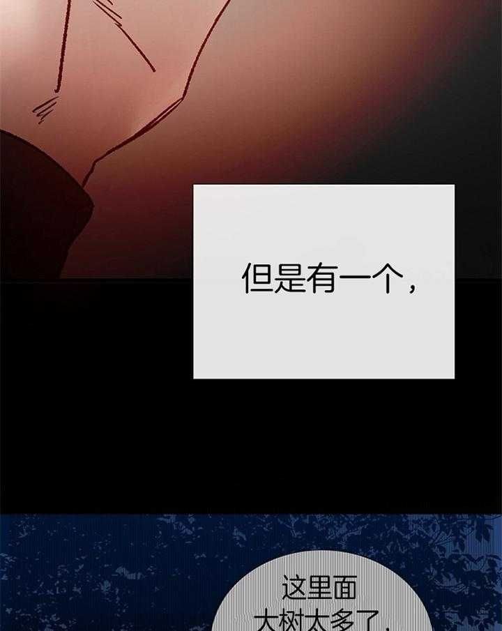 第187话4