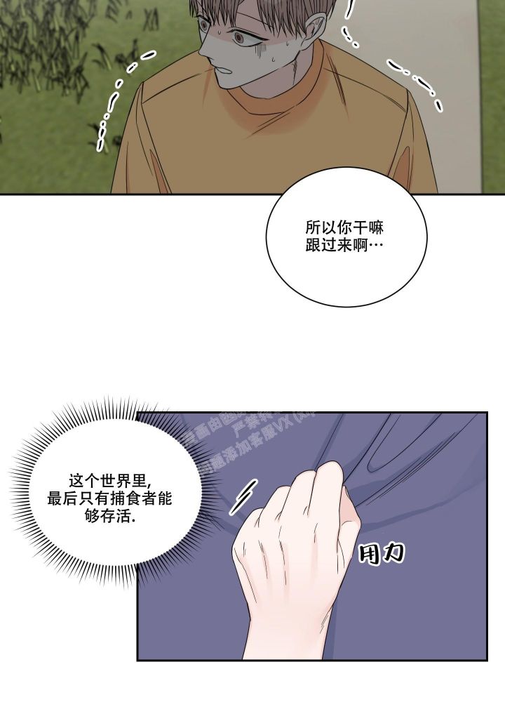 第44话22