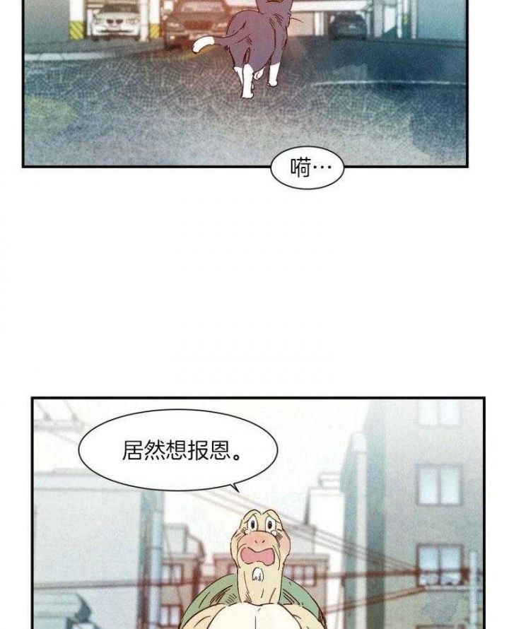 第79话5