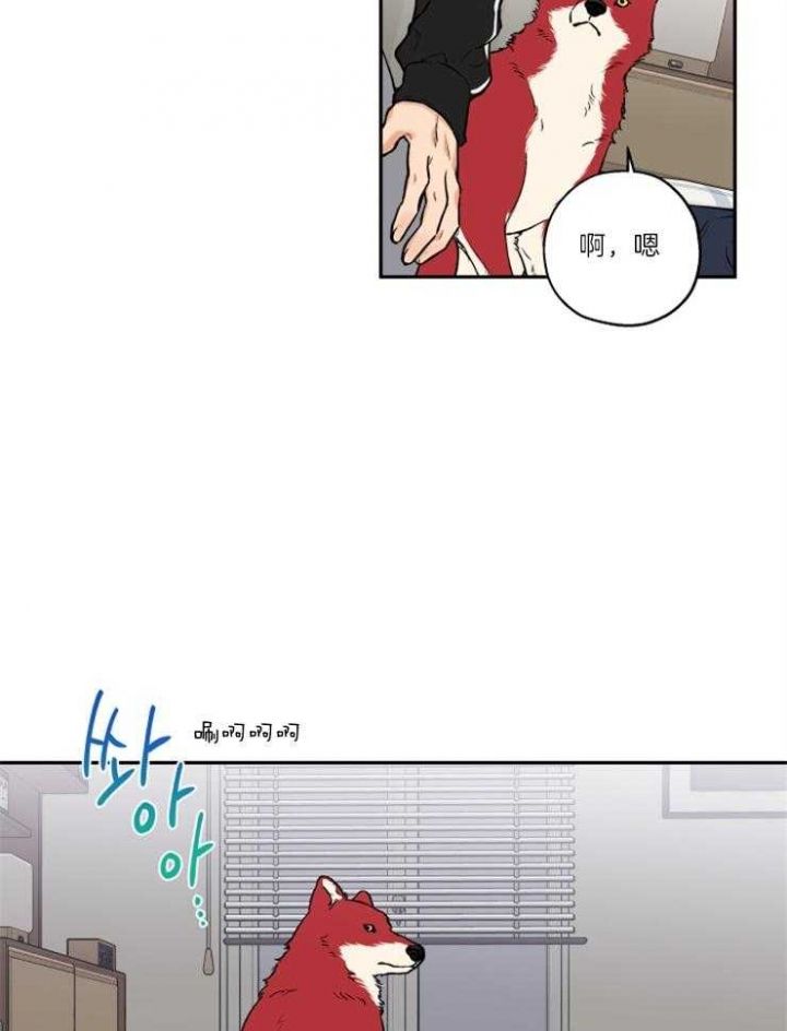 第36话17