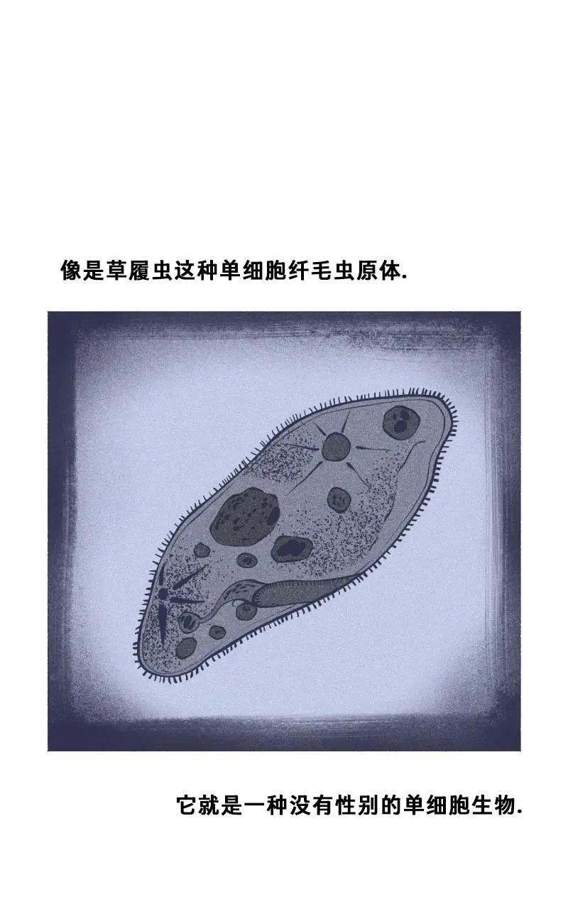 格温侍06 第11页