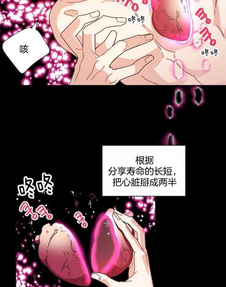 第66话13