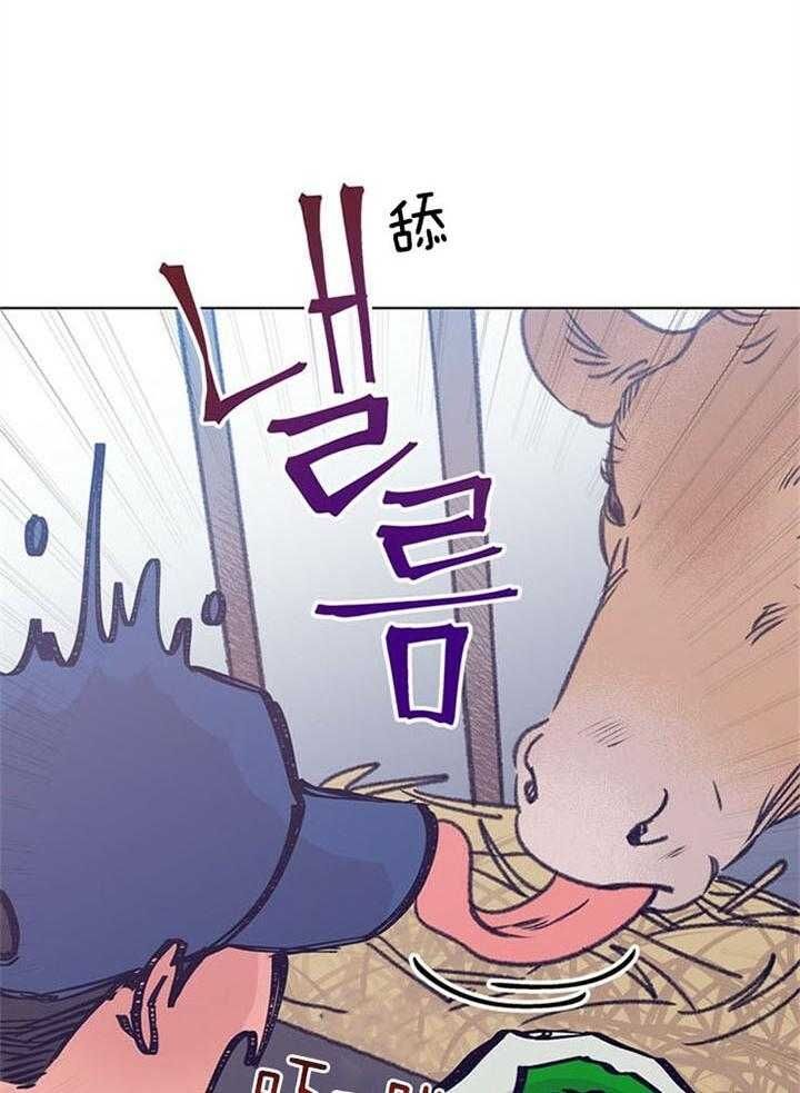 第95话19