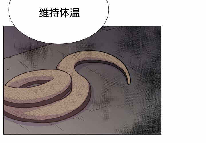 第35话62