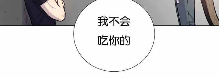 第41话56