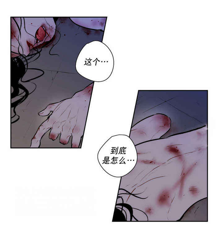 第65话0