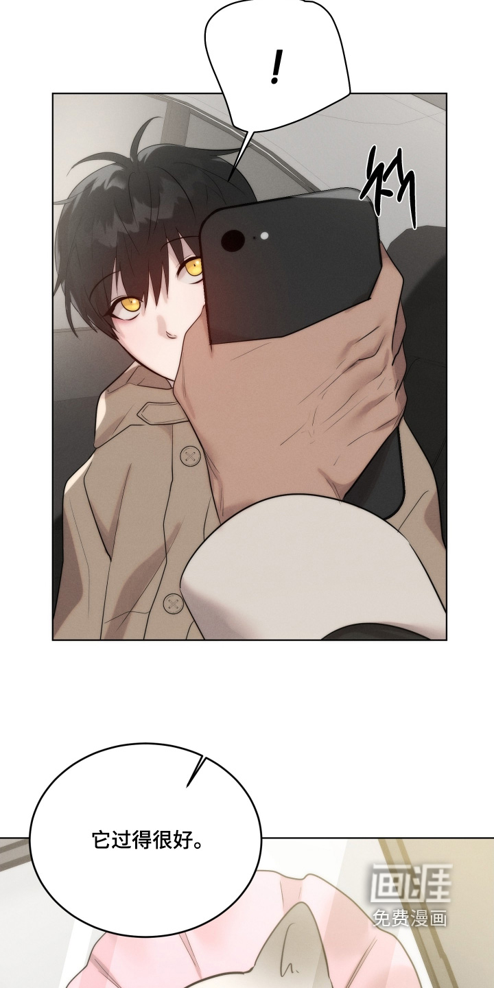 第116话12