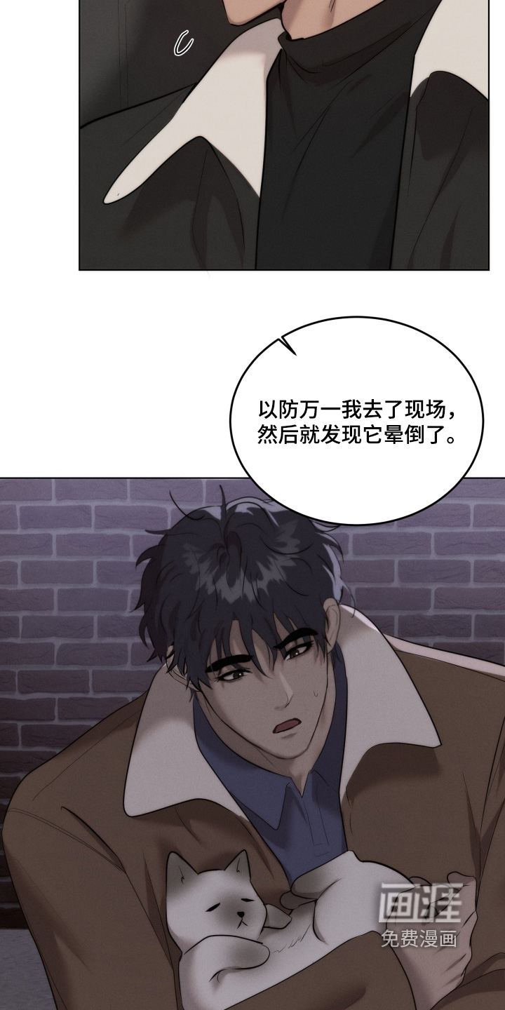 第116话15