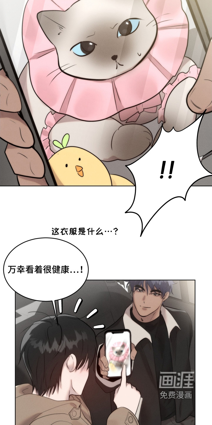 第116话13