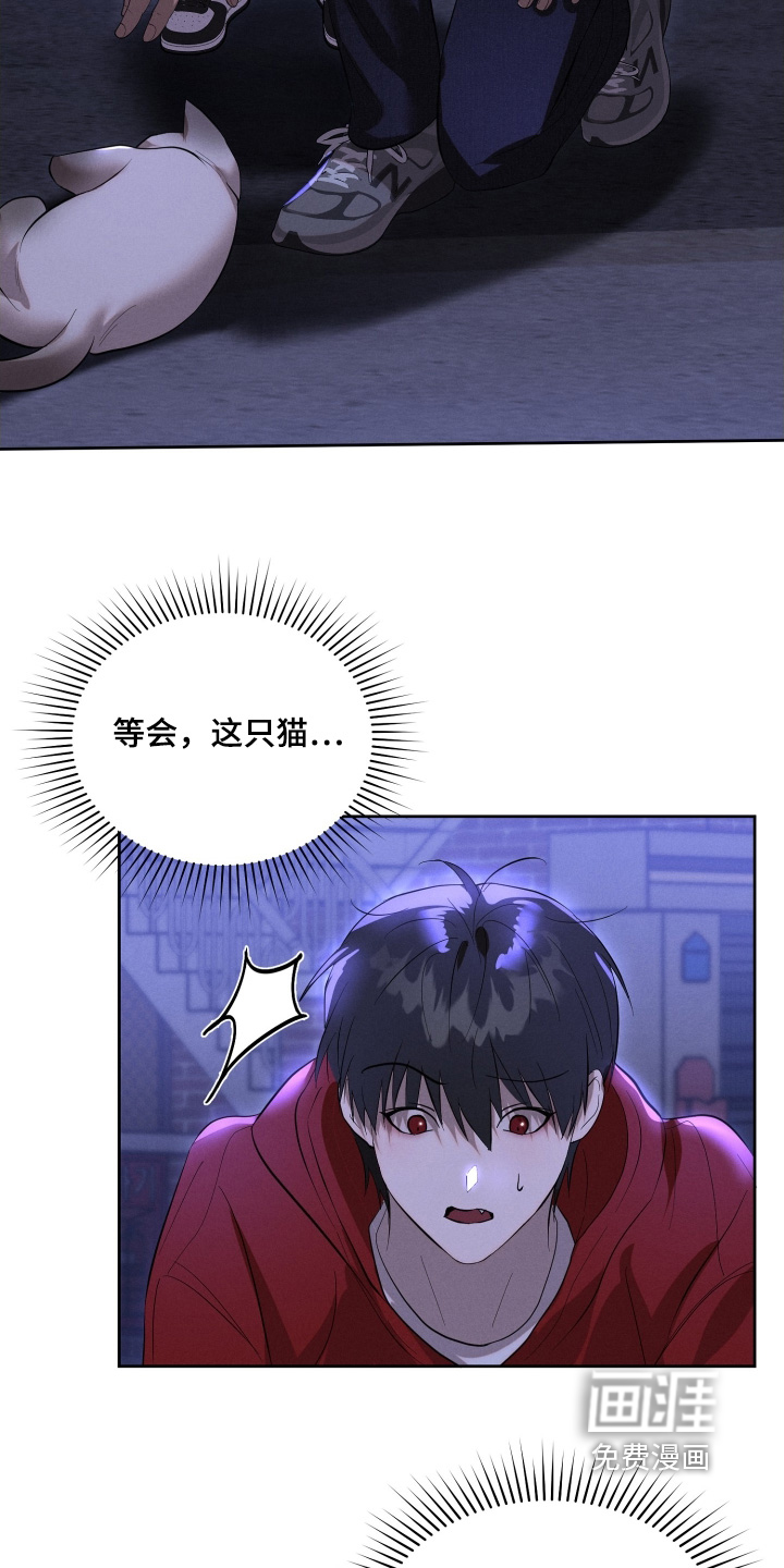 第97话19