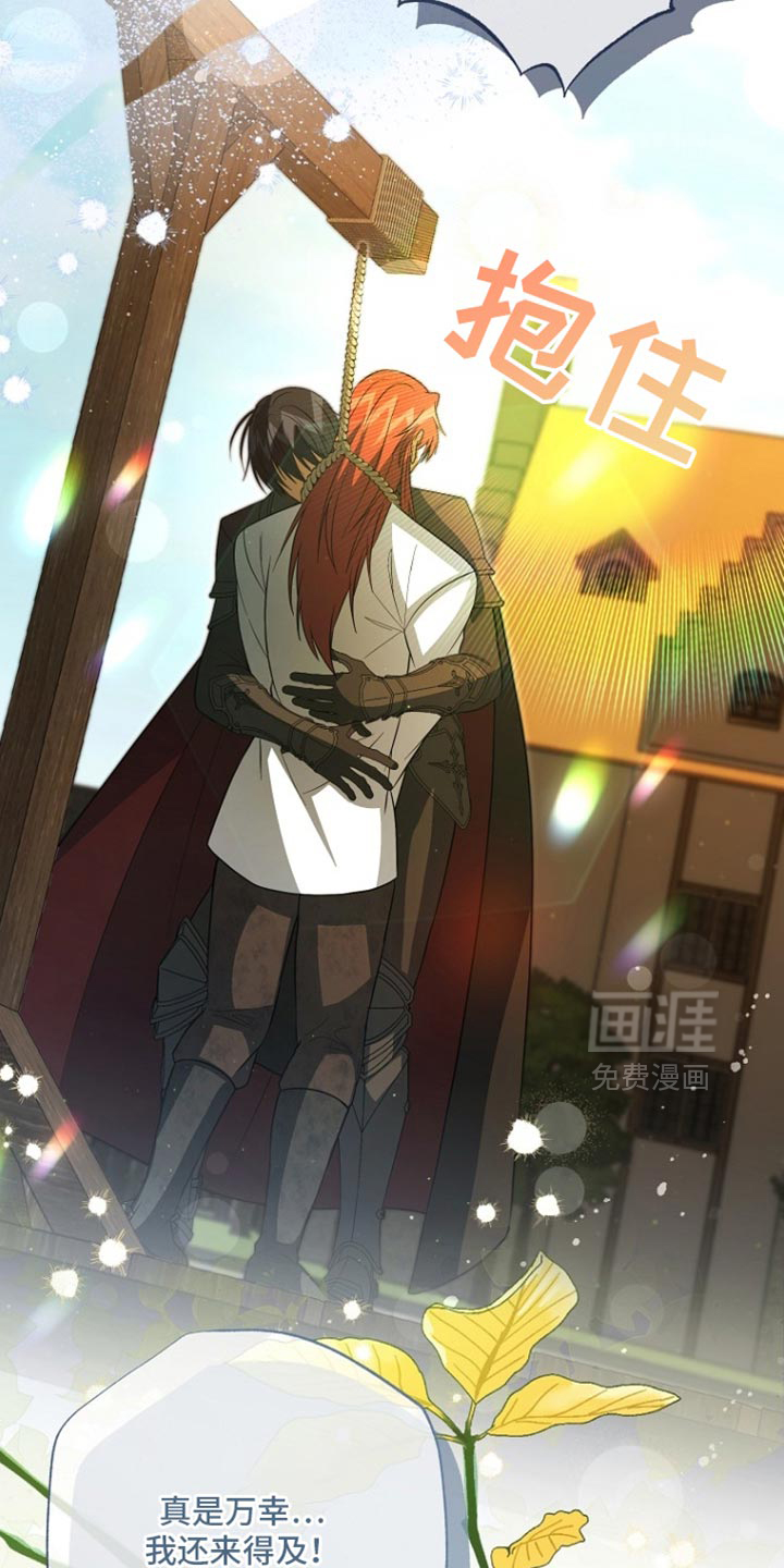 第116话23