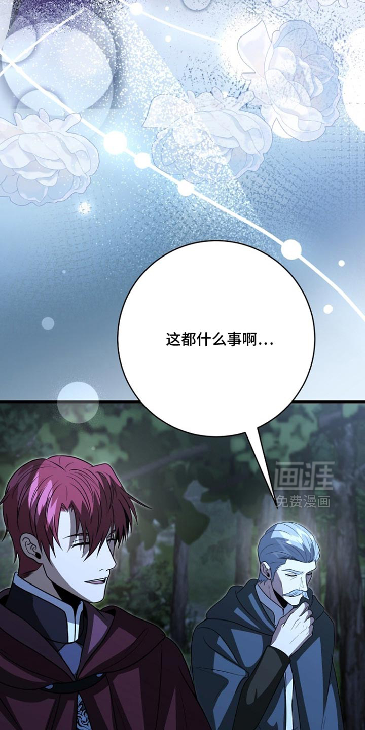 第116话10
