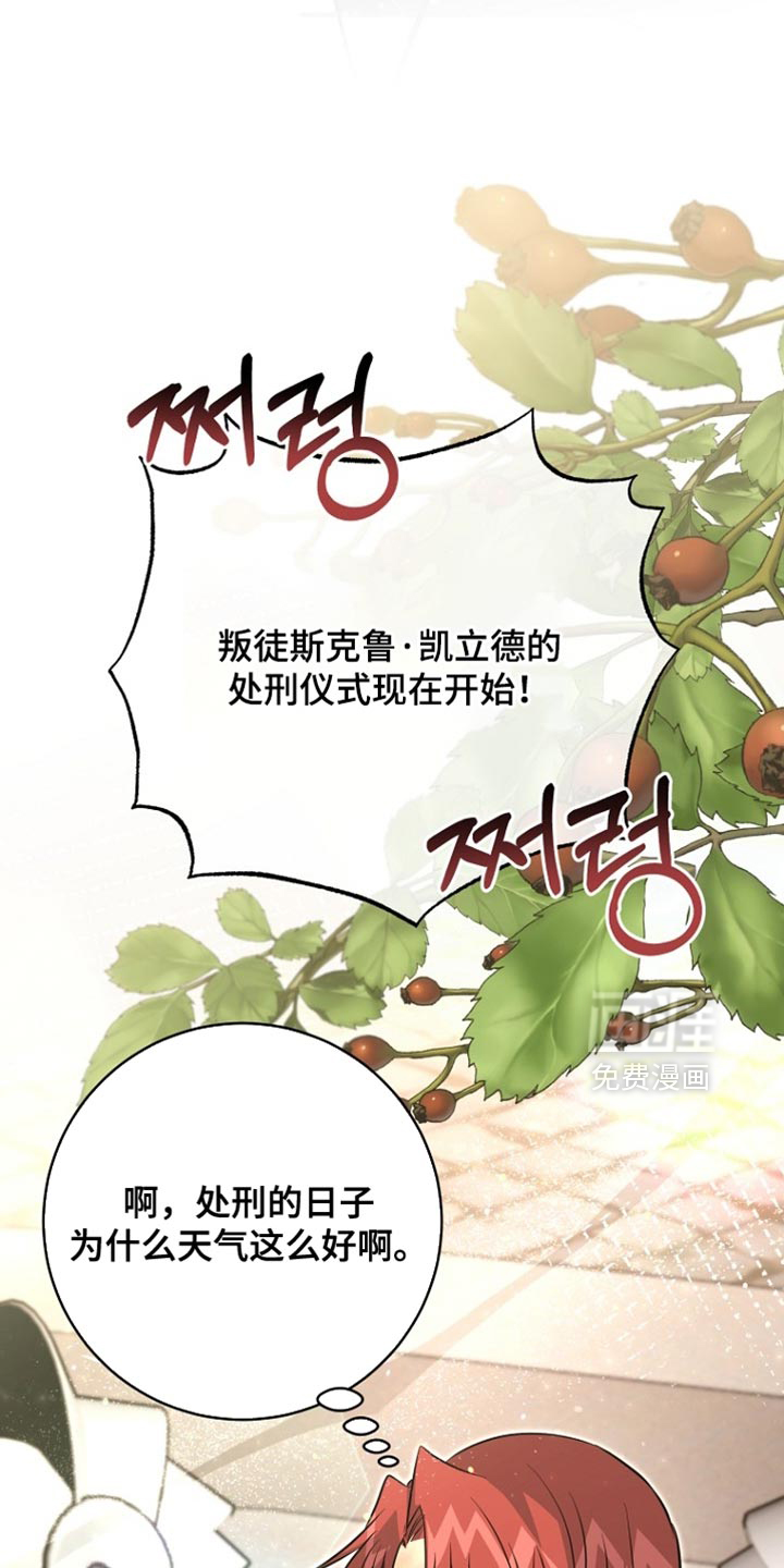 第115话22