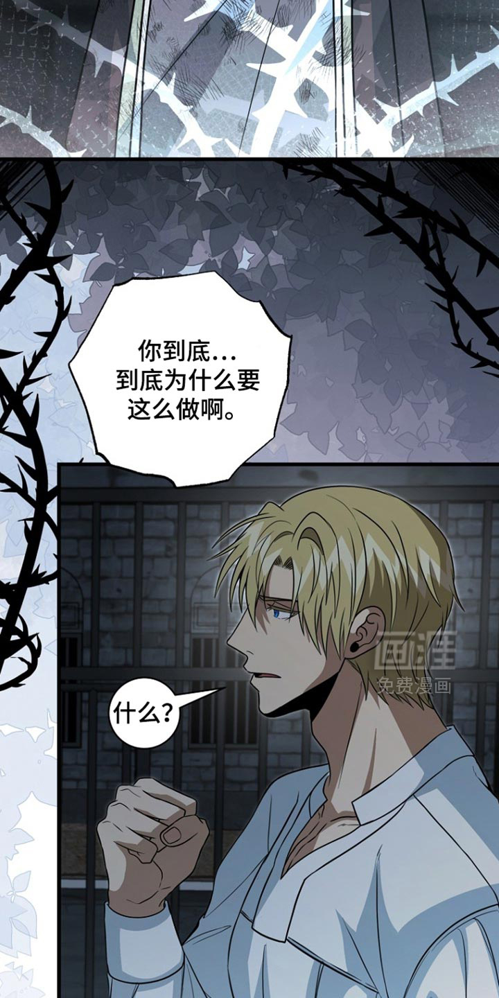 第111话7