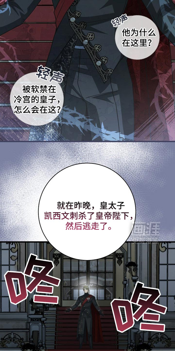 第110话4