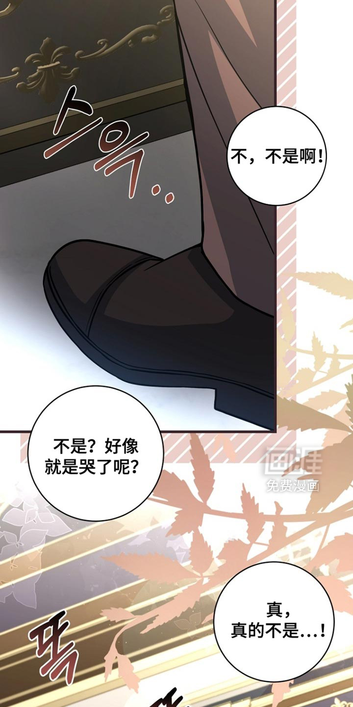 第100话26