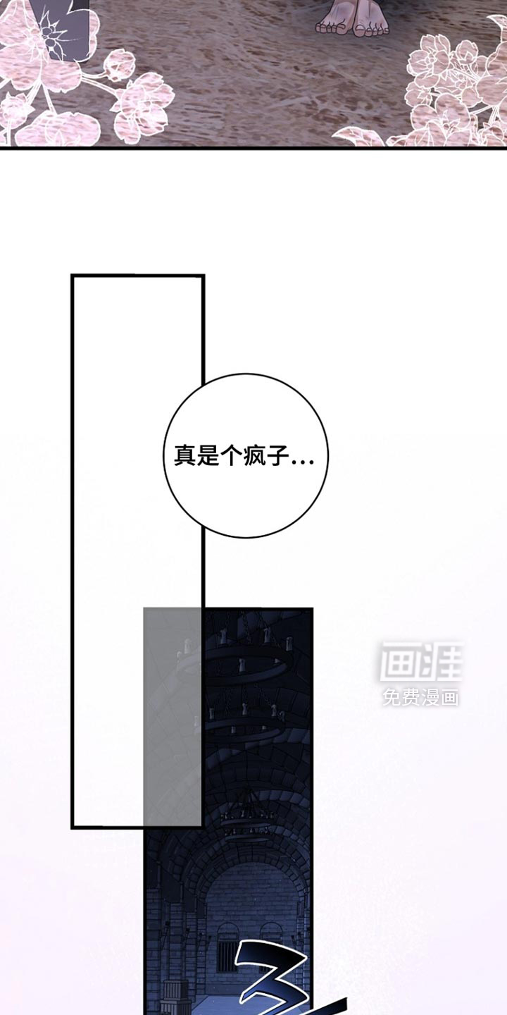 第92话24