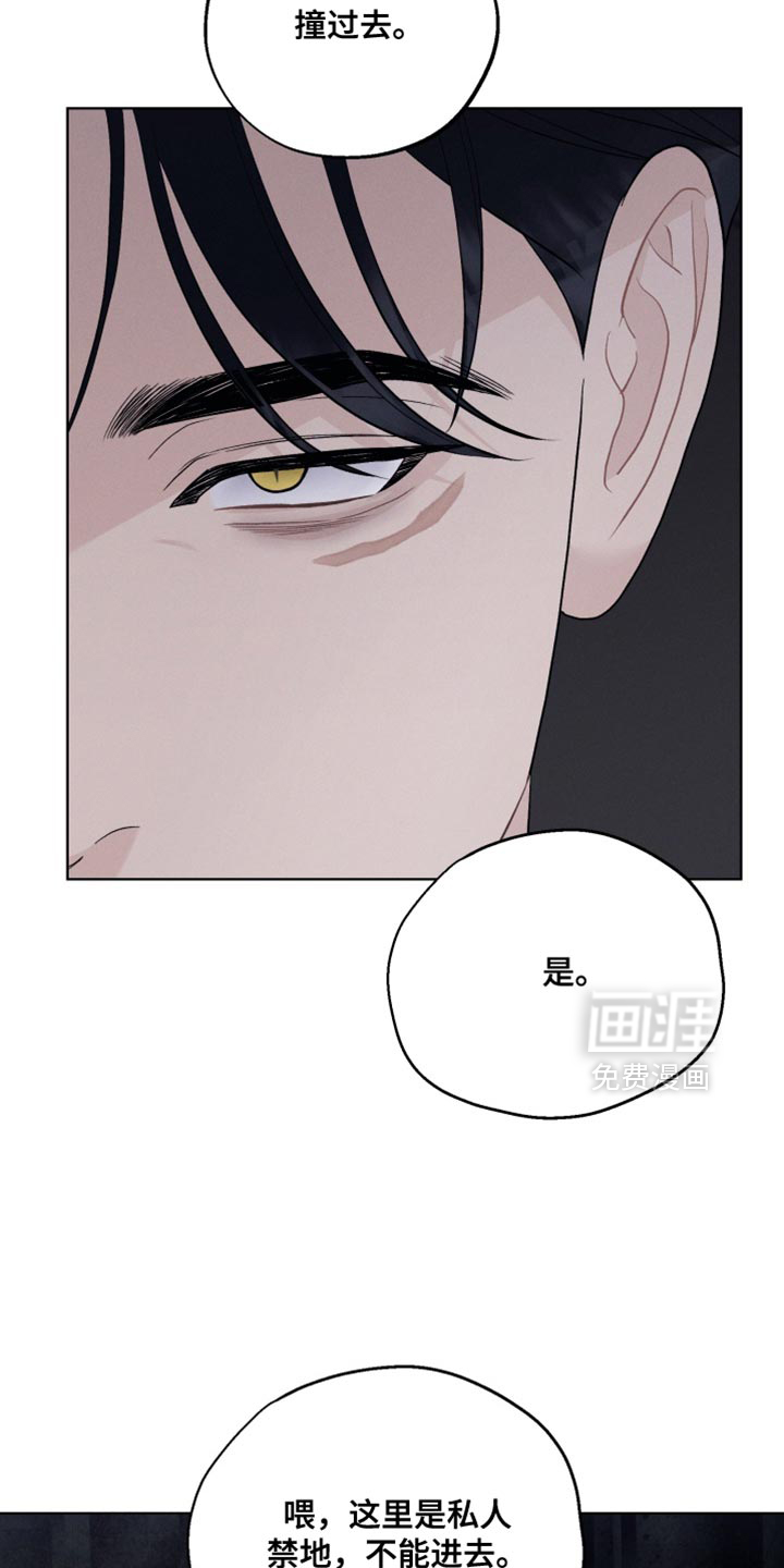 第102话2