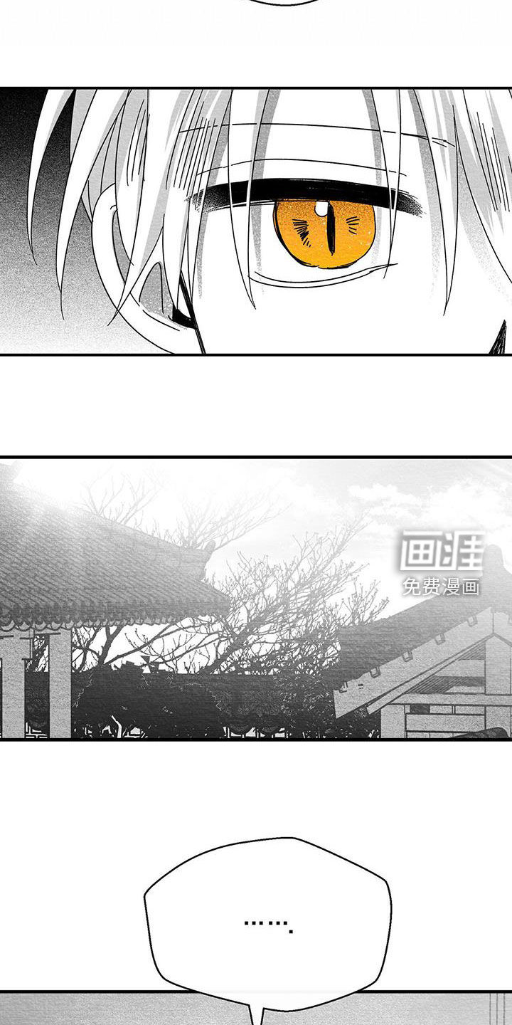 第62话17