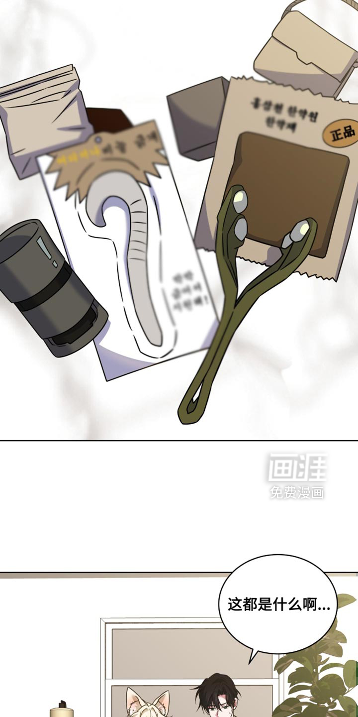 第81话21