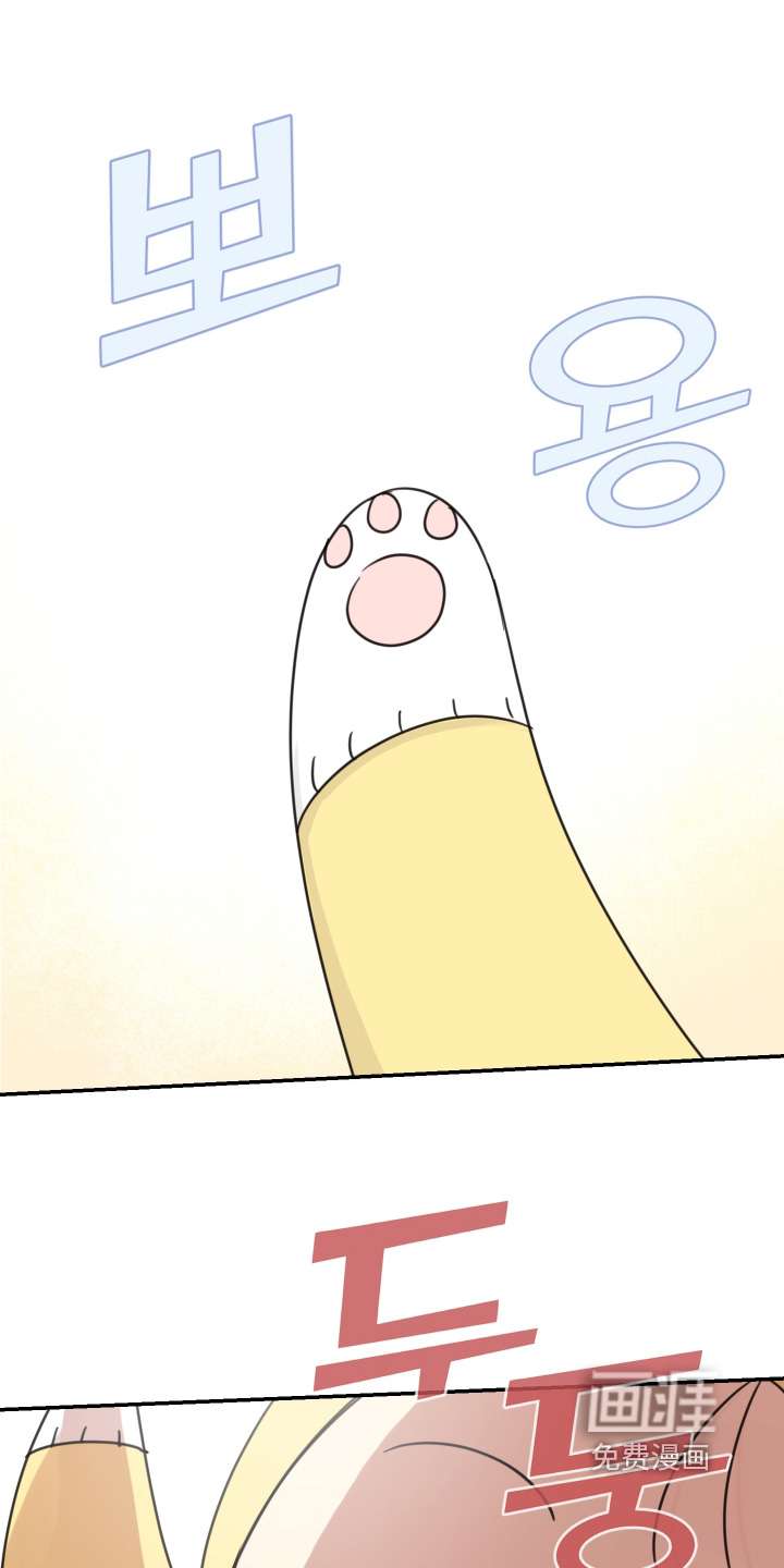 第97话0
