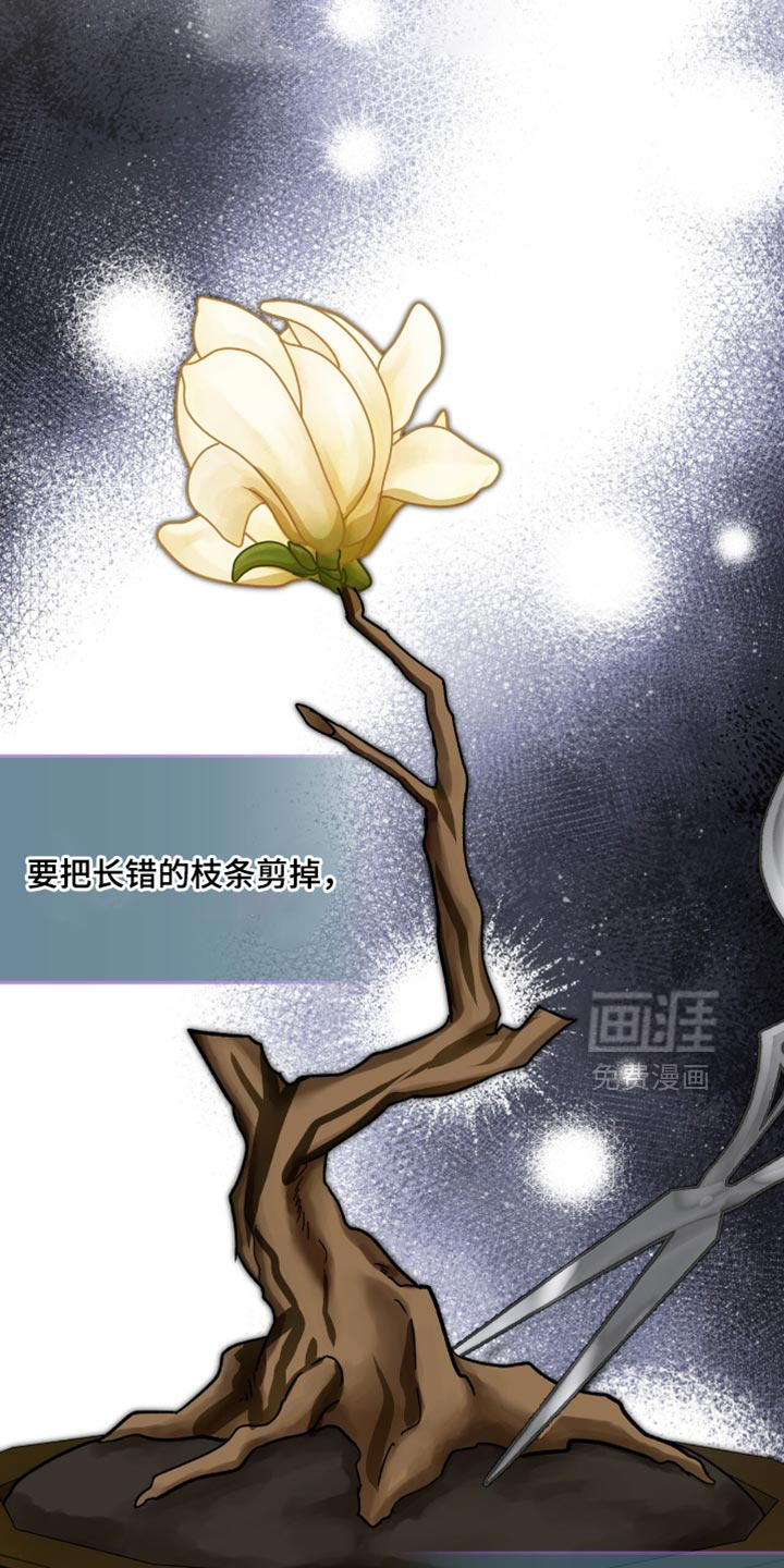 第115话27
