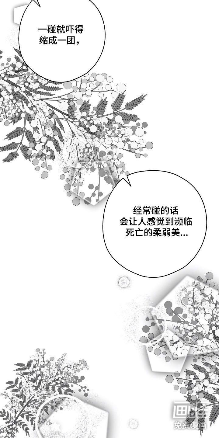 第41话5
