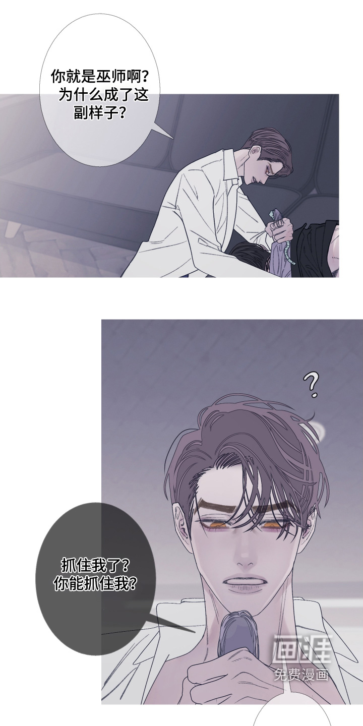 第170话11