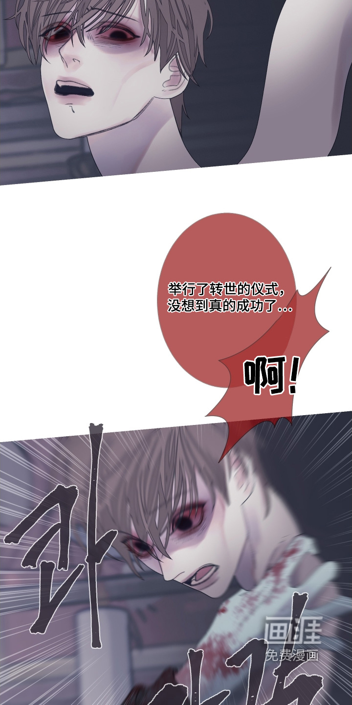 第165话17