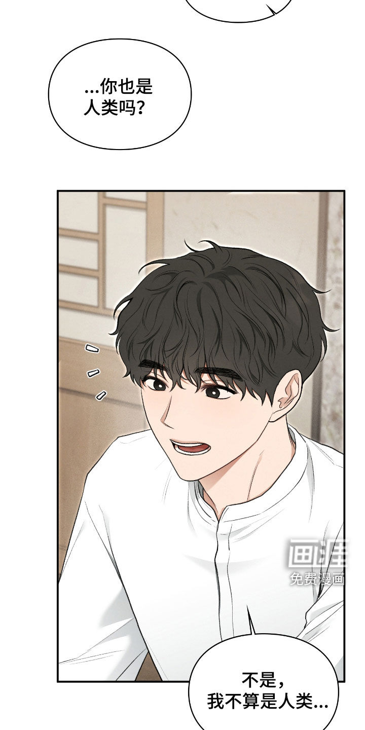 第54话37