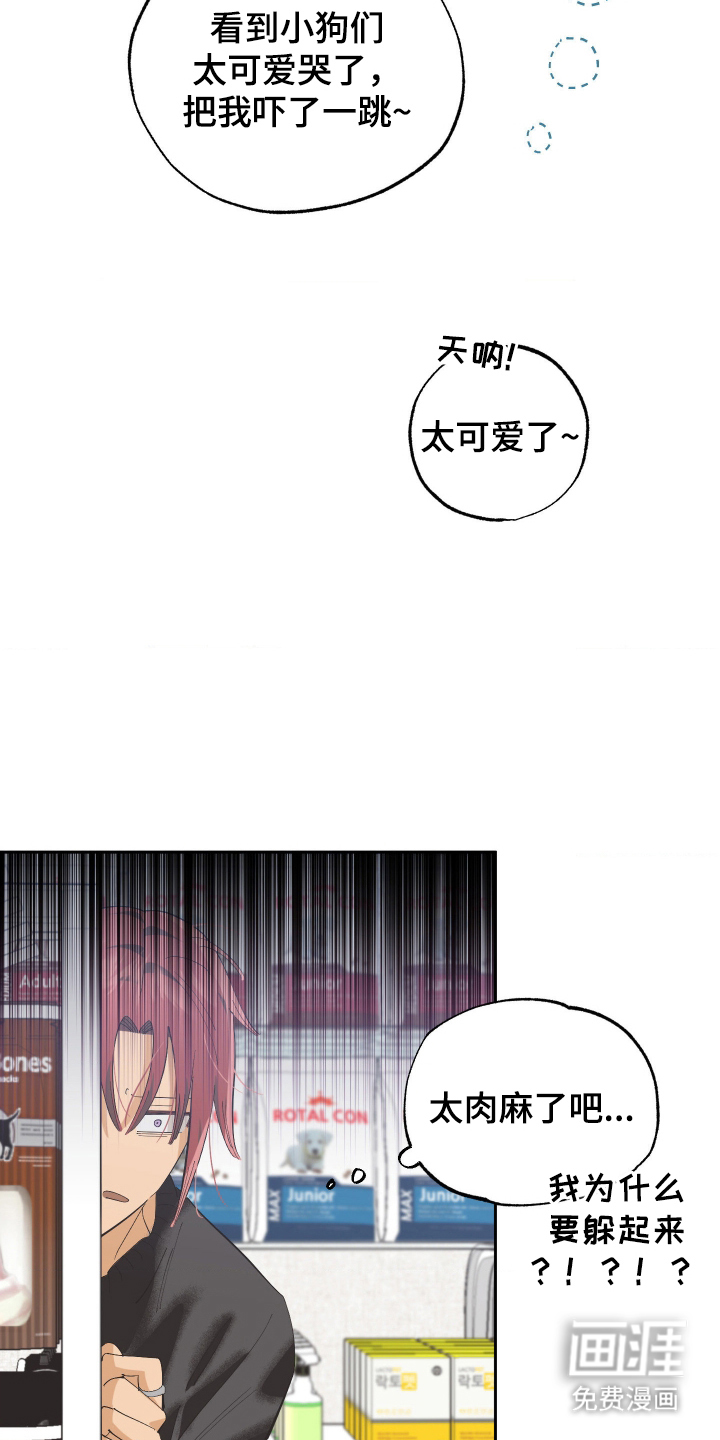 第7话 第19页