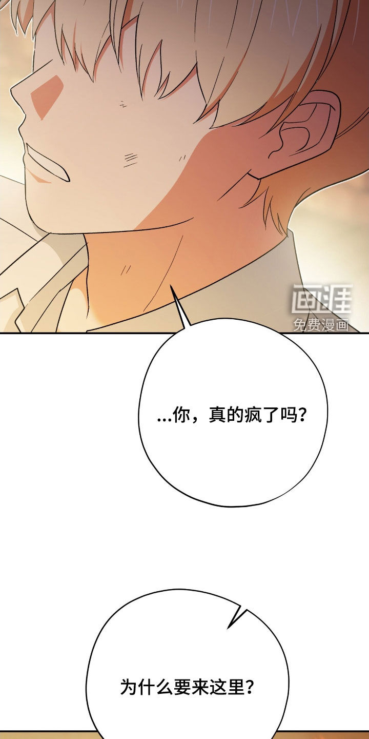 第48话 第29页