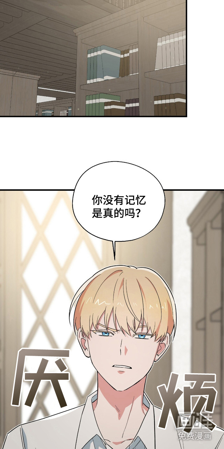 第11话 第13页