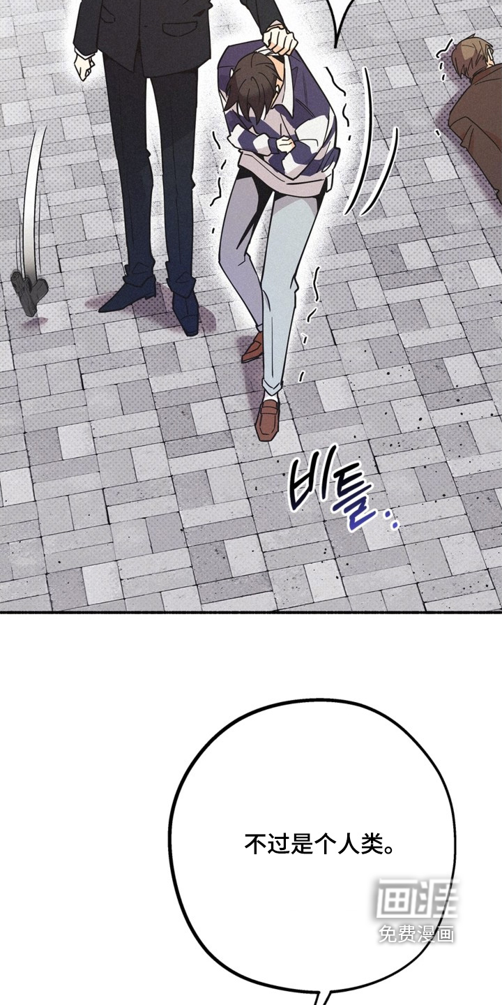 第123话13
