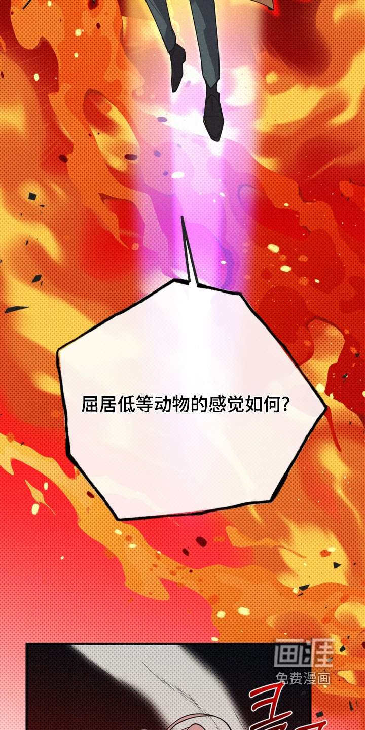 第119话6