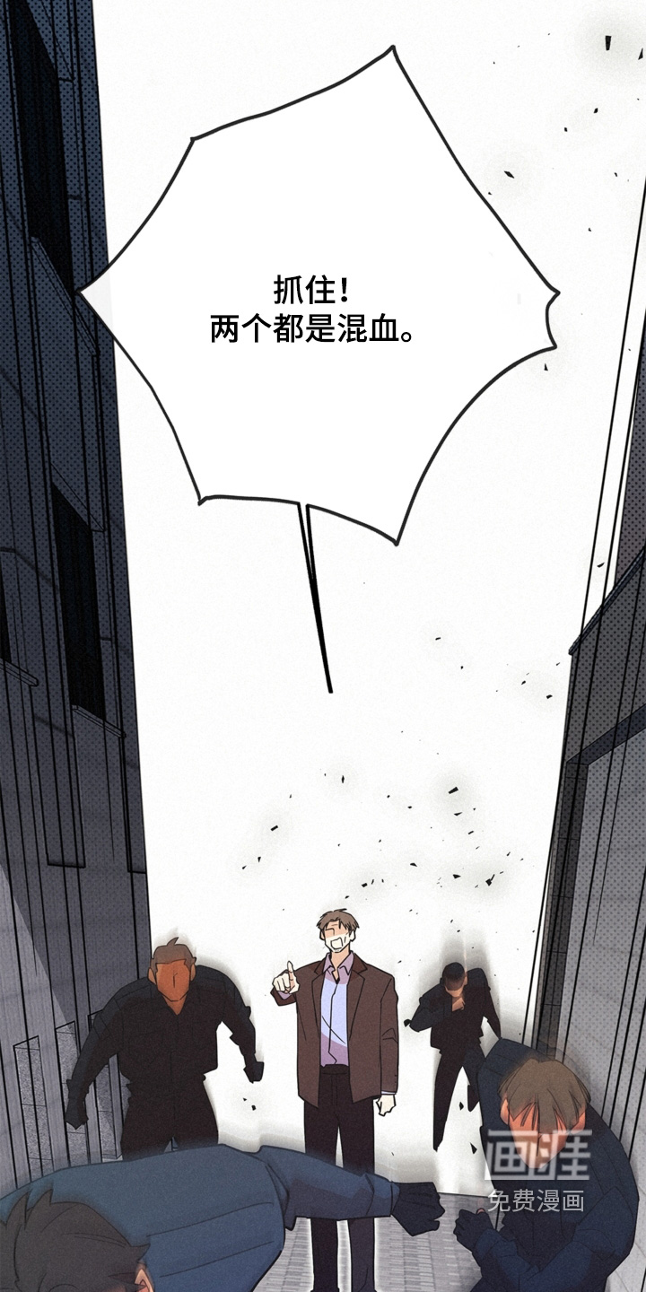 第118话10